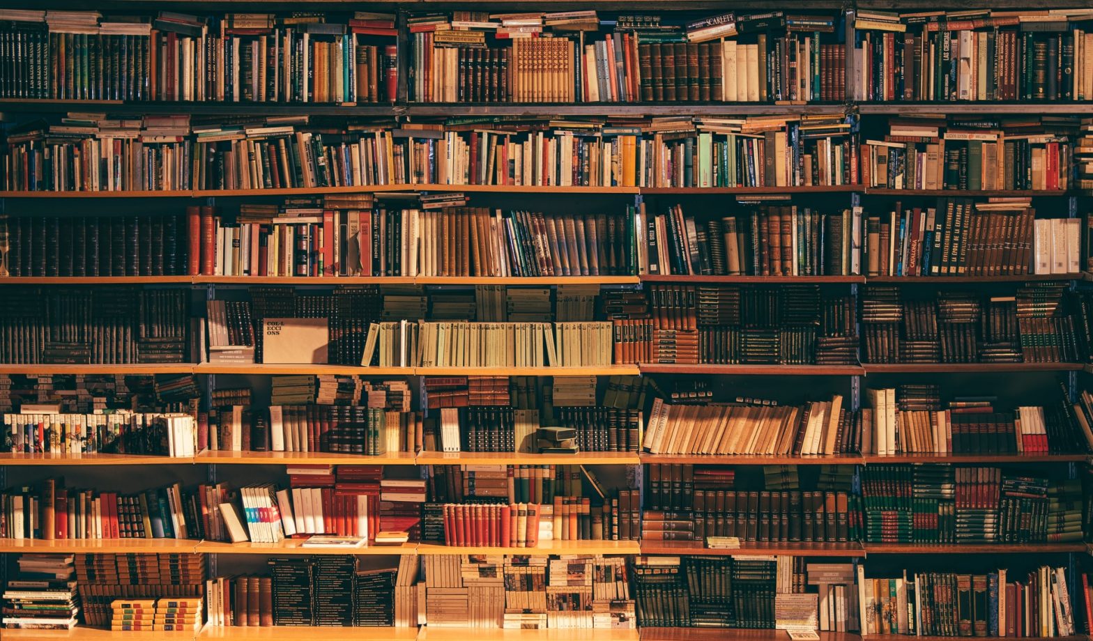 Al via il 1° ottobre il percorso formativo per le biblioteche scolastiche del Lazio