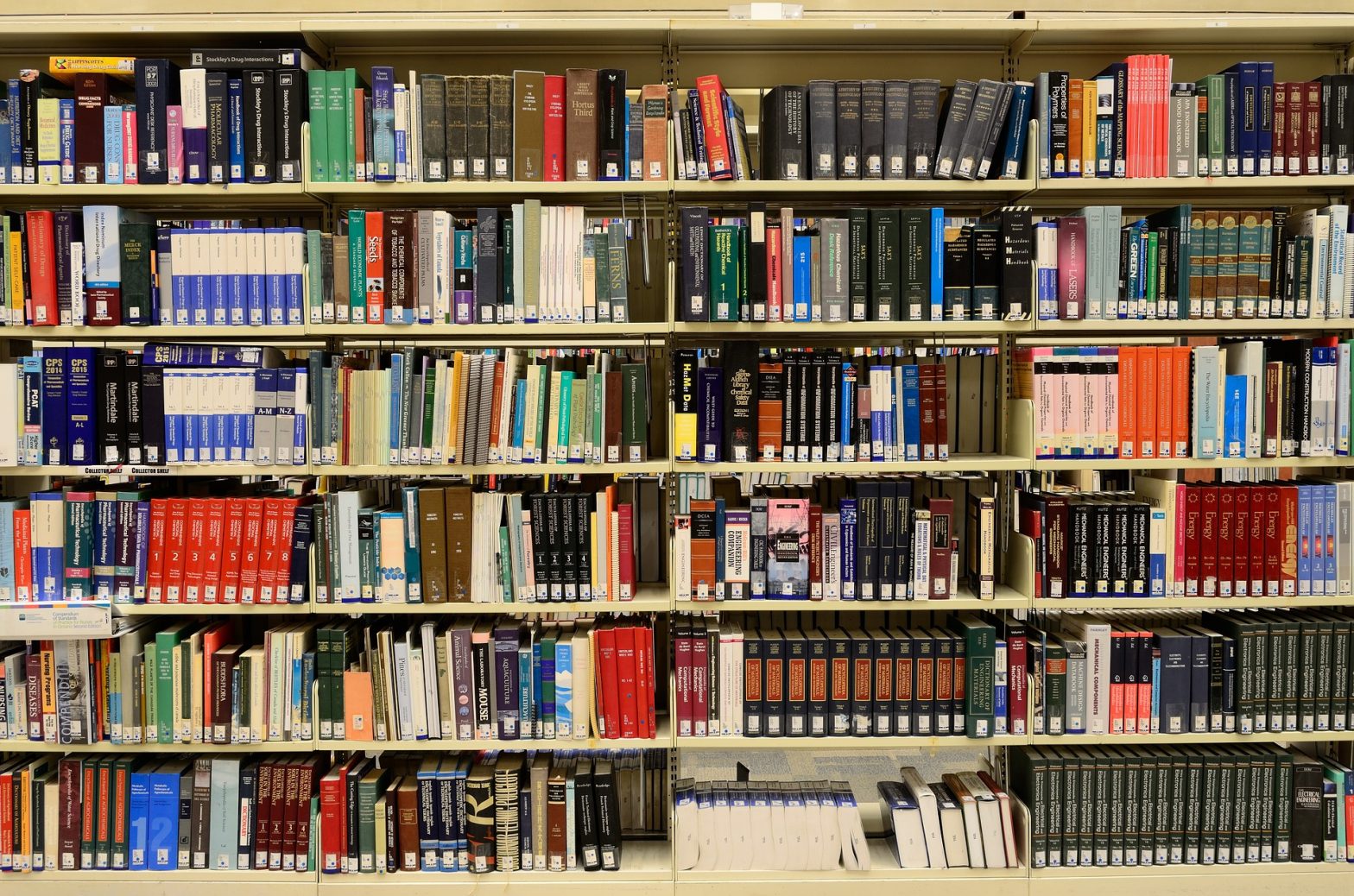 VIDEO – Giornata internazionale della Lingua Madre 2022: 7 consigli di lettura