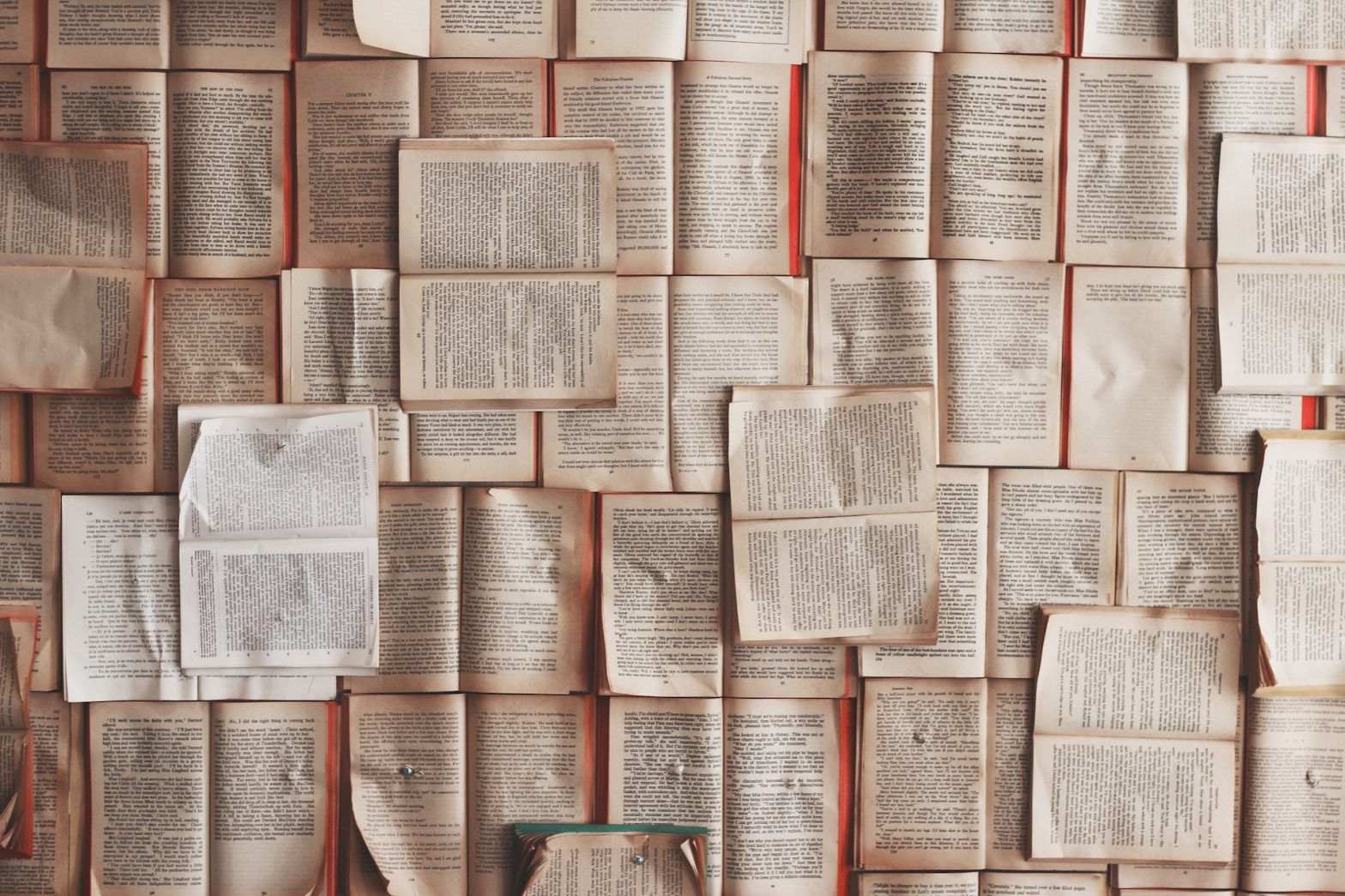 Alfabetizzazione, tutte le iniziative del Centro per il libro e la lettura