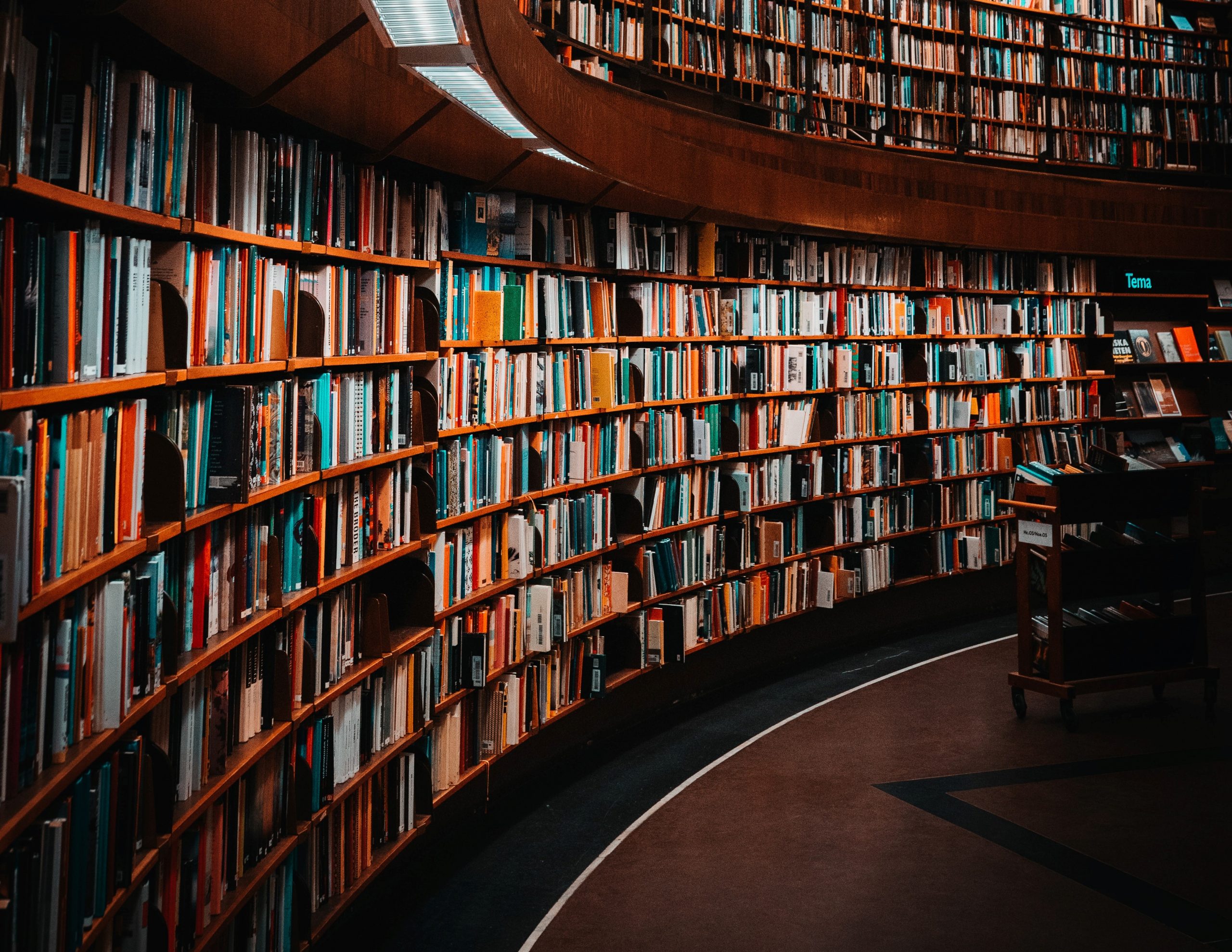 “Vedere con gli occhi degli altri”: al via la Winter school 2025 dell’Università Cattolica sulle biblioteche scolastiche